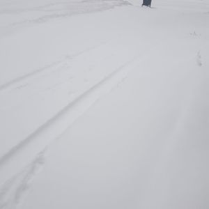 Meet your Posher, Ally